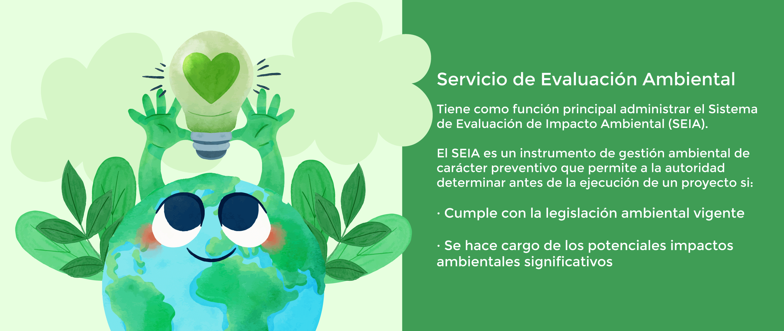 Acción Ambiental 5